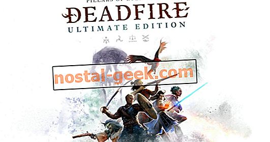 Столпы Вечности II: Deadfire PS4 Обзор: Последний порт захода