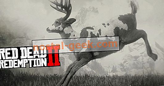 Legendary Buck: Wie man es in Red Dead Redemption jagt, tötet und häutet 2