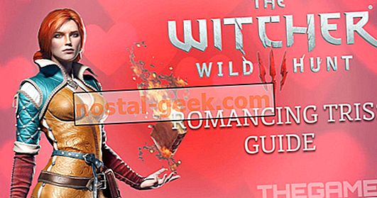 The Witcher 3: How To Triss Romance