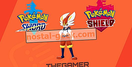 Pokémon Sword & Shield: come trovare ed evolvere Scorbunny in Cenerentola