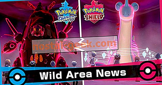 Pokemon Sword & Shield: Wie man das Januar-Gigantamax-Pokémon fängt