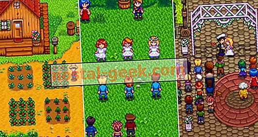 Stardew Valley: tutte le opzioni di matrimonio classificate dal peggiore al migliore