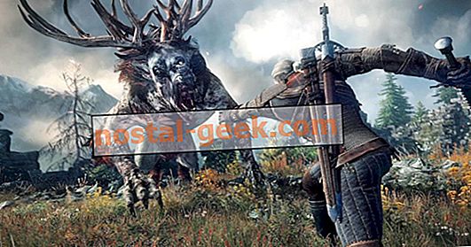 The Witcher 3: 10 Keputusan paling sukar yang Anda Perlu Buat (& Apa Yang Berlaku Seterusnya)