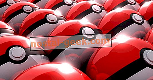 Pokémon: ogni pallina di Apricorn di seconda generazione e per cosa viene usata