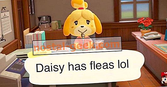 Animal Crossing: 10 Meme Isabelle Paling Lucu