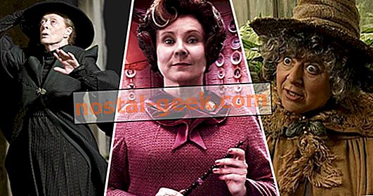 Harry Potter: 25 Profesor Hogwarts, Berperingkat Resmi
