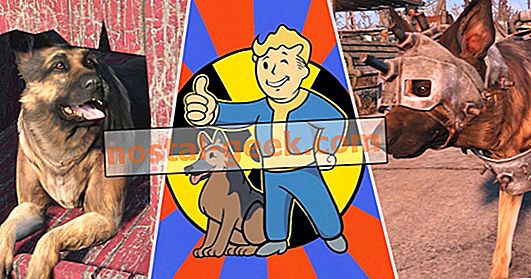 25 cose folli solo i super fan conoscevano la carne di cane di Fallout