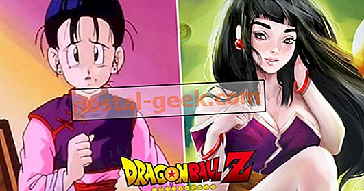 Dragon Ball: 15 seltsame Fakten über Chi-Chi