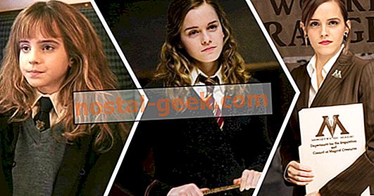 Harry Potter: 15 Perkara Hermione Granger Adakah Selepas Hallowan Maut