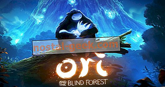 10 вещей, которые нужно знать перед игрой в Ori и Blind Forest