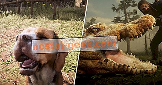 25 choses ridicules Red Dead Redemption 2 permet aux joueurs de faire