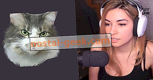 Alinity's Cat Milo får äntligen hans hämnd